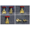 ISO 228 Standard Forged Copper Brass Gate Valve